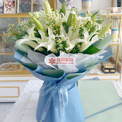 惠州8支白色多头百合洋甘菊，互倾的思念