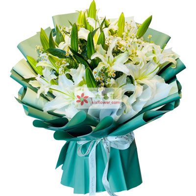 惠州8支白色多头百合洋甘菊，如潮的思念